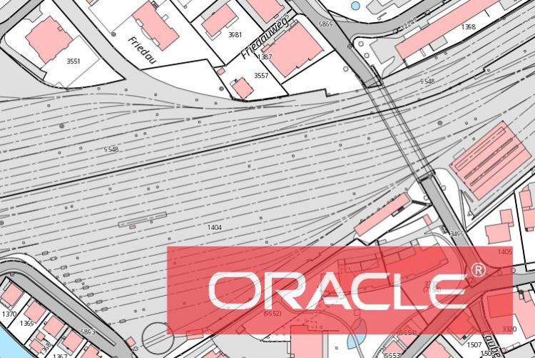 6 oracle
